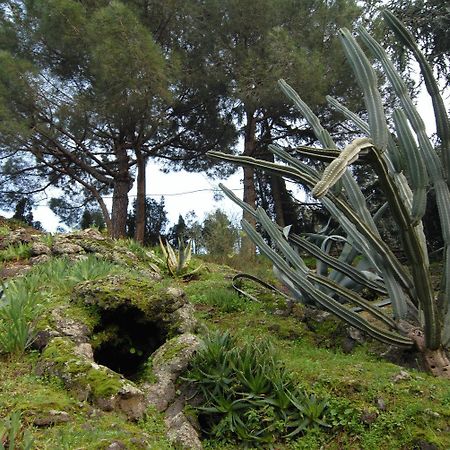 إيركولانو La Dimora Le Fumarole Rooms المظهر الخارجي الصورة